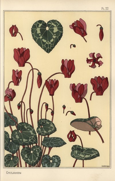 Alpenveilchenpflanze, mit Details der Blume, Blätter, Blütenblätter von Eugene Grasset