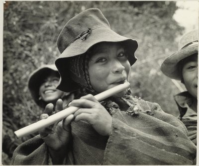 Peruanische Flöte von Eugene V. Harris