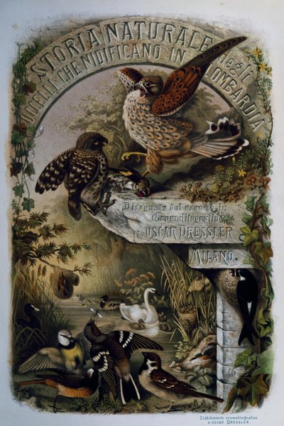 Titelseite der Naturgeschichte der Vögel, die in der Lombardei nisten, von Eugenio Bettoni, Gravur von Oscar Dressler von Eugenio Bettoni, Oscar Dressler