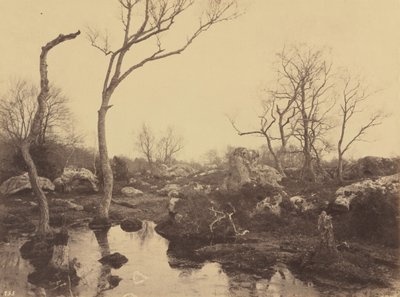 Belle Croix, um 1858 von Eugène Cuvelier