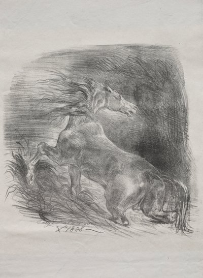Das wilde Pferd von Eugène Delacroix