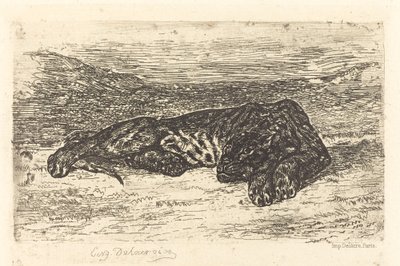 Tiger schläft in der Wüste (Tigre couché dans le désert) von Eugène Delacroix