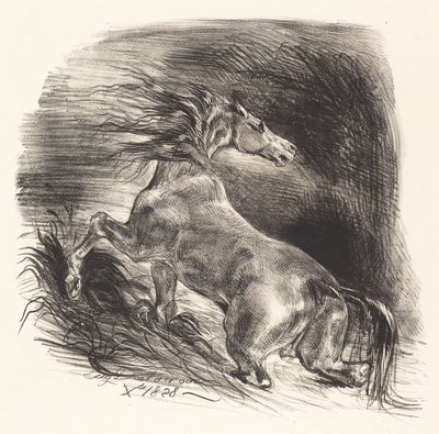 Wildes Pferd kommt aus dem Wasser, 1828 von Eugène Delacroix