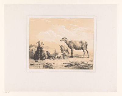 Ziege, Schaf und zwei Lämmer von Eugène Verboeckhoven