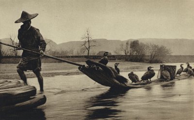 China, Fischfang mit Kormoranen von European Photographer
