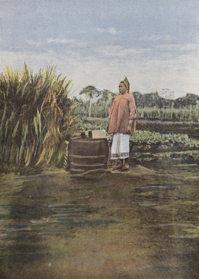 Afrikanische Frau von European Photographer