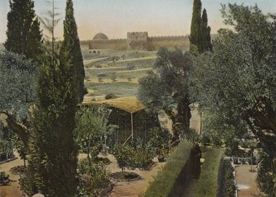 Garten Gethsemane von European Photographer