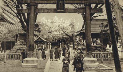Japan, Straße in Tokio, Zeit der Kirschblüte von European Photographer