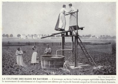 Der Radisanbau in Bayern von European Photographer