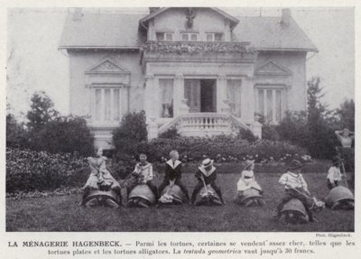 Der Hagenbeck-Zoo von European Photographer