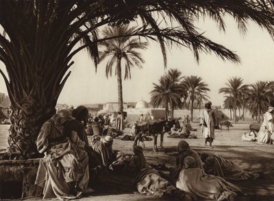 Touggourt-Oase von European Photographer