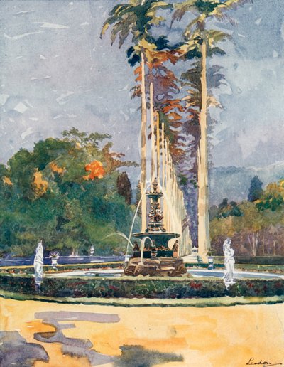 Ein Teil der Avenue der Königspalmen, Botanische Gärten von European School