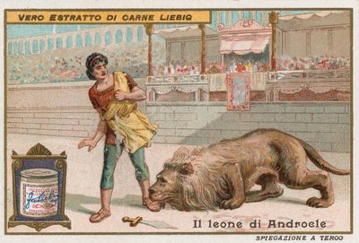 Androklus und der Löwe von European School