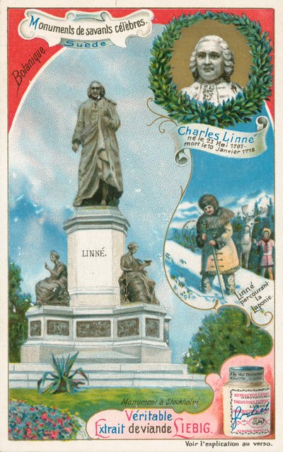 Carl von Linné, Liebig-Karte, frühes 20. Jahrhundert von European School