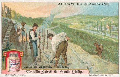 Champagner, Liebig-Karte, frühes 20. Jahrhundert von European School