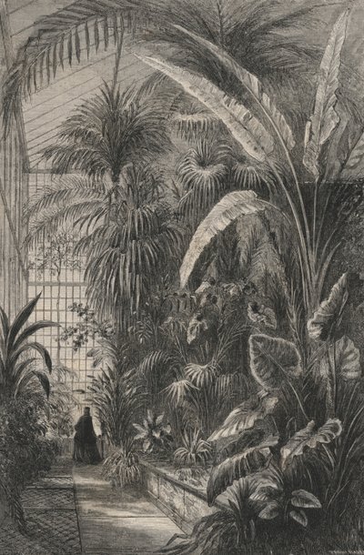 Grande Serre Du Museum De Paris von European School