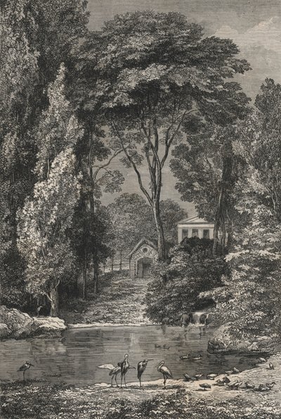 Das Schweizer Tal im Jardin des Plantes von Paris (Gravur) von European School