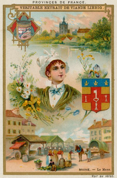 Le Maine von European School