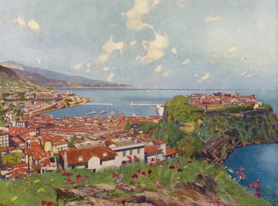 Monaco, Der Felsen und Gesamtansicht von European School