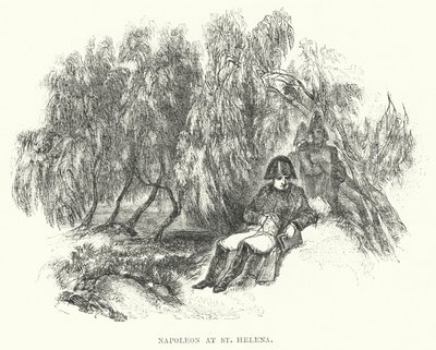 Napoleon auf St. Helena von European School