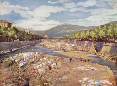 Nizza, Der Paillon von European School