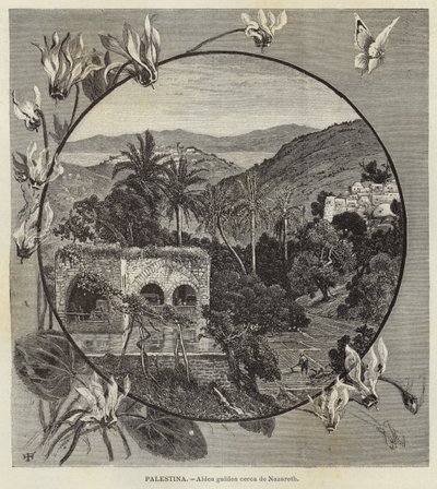 Palästina, Galiläisches Dorf in der Nähe von Nazareth von European School