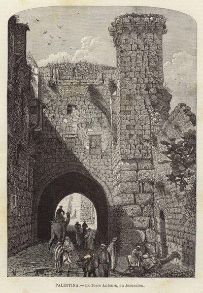 Palästina, Der Antonia-Turm in Jerusalem von European School