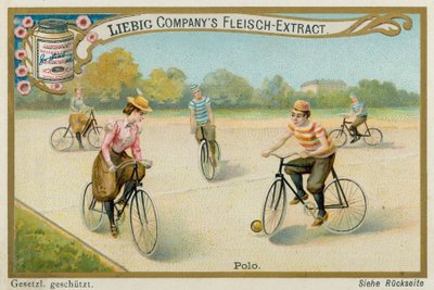 Polo von European School