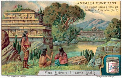 Teich der heiligen Fische in Ayacucho, Peru von European School