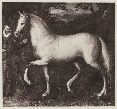 Das Pferd von Königin Elizabeth von European School