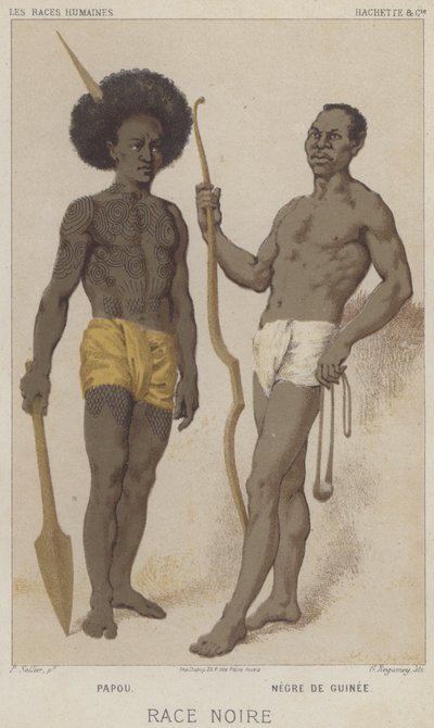 Schwarze Rasse, Papou, Schwarzer aus Guinea von European School