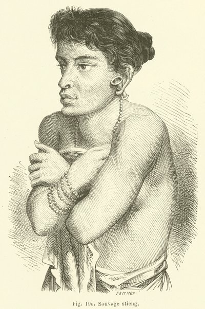 Wilder Stieng (Stich) von European School