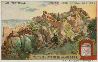 Die Burg der Mauren in Sintra von European School