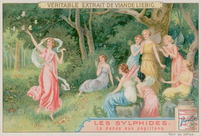 Die Sylphen tanzen mit Schmetterlingen von European School