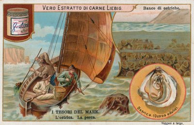 Schätze des Meeres, Liebig-Karte, frühes 20. Jahrhundert von European School