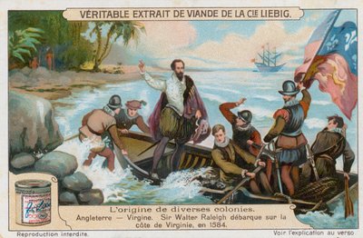 Virginia von European School