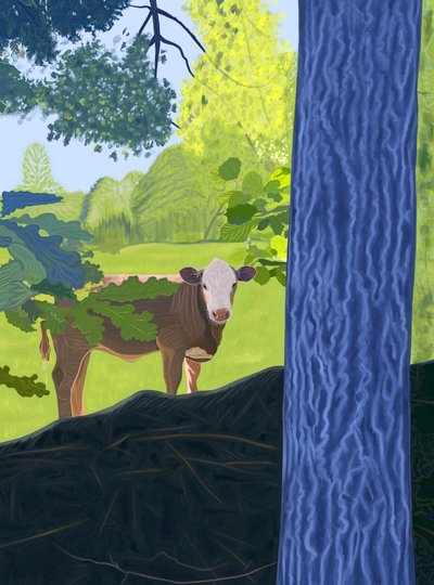 Kuh auf der Wiese von Evan Sklar