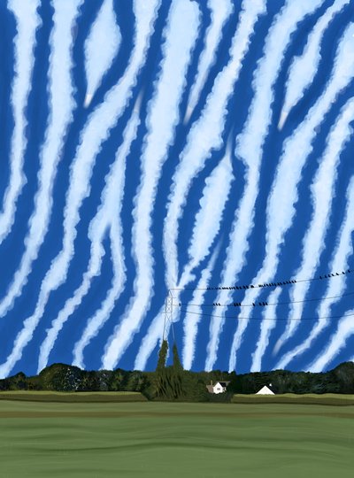 Feld und Drähte, North Fork, Long Island von Evan Sklar