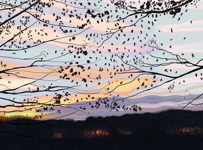 Falke auf Ast, Prospect Park von Evan Sklar