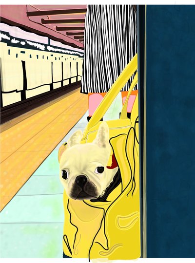 U-Bahn-Pendler mit Hund in Tasche, Brooklyn von Evan Sklar