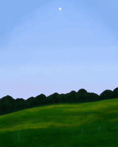 Vermont Feld, Morgendämmerung von Evan Sklar