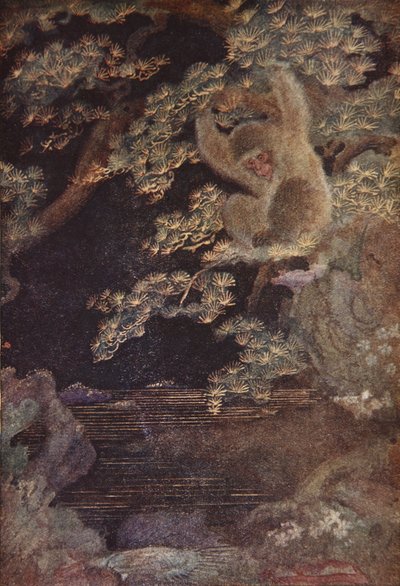 Die Qualle und der Affe, Illustration aus 