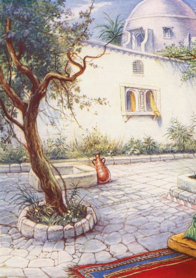 Das Haus eines reichen Mannes von Evelyn Stuart Hardy