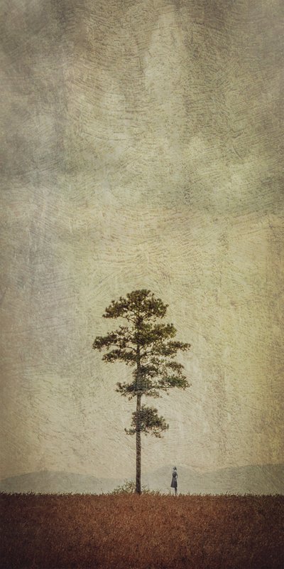 Einsamer Baumfeld von Evgenii Novichikhin