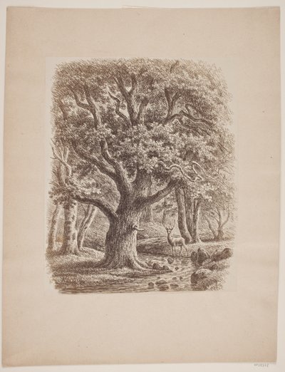 Waldinneres mit einem Bach und einem Hirsch von F.C. Kiærskou