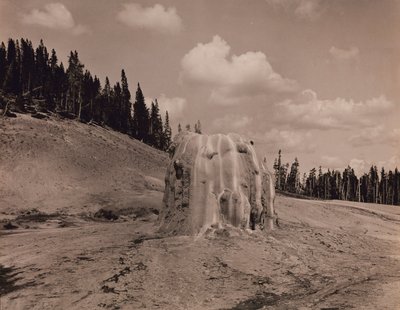 Lone Star Geyser Kegel, Yellowstone Nationalpark von F. Jay Haynes