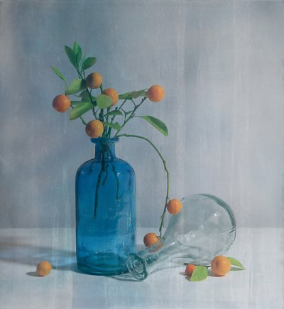Zitrus Blaue Flaschen von Fangping Zhou