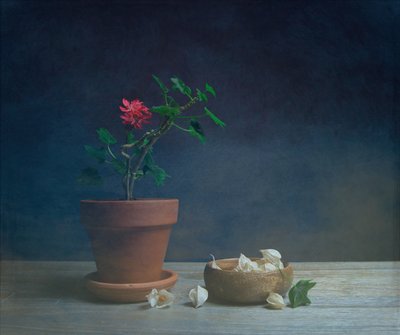 Stimmungsvolle Topfblume von Fangping Zhou