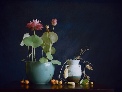 Rosa Lotus-Stillleben von Fangping Zhou