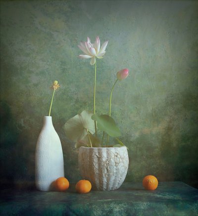 Serenes Lotus-Stillleben von Fangping Zhou